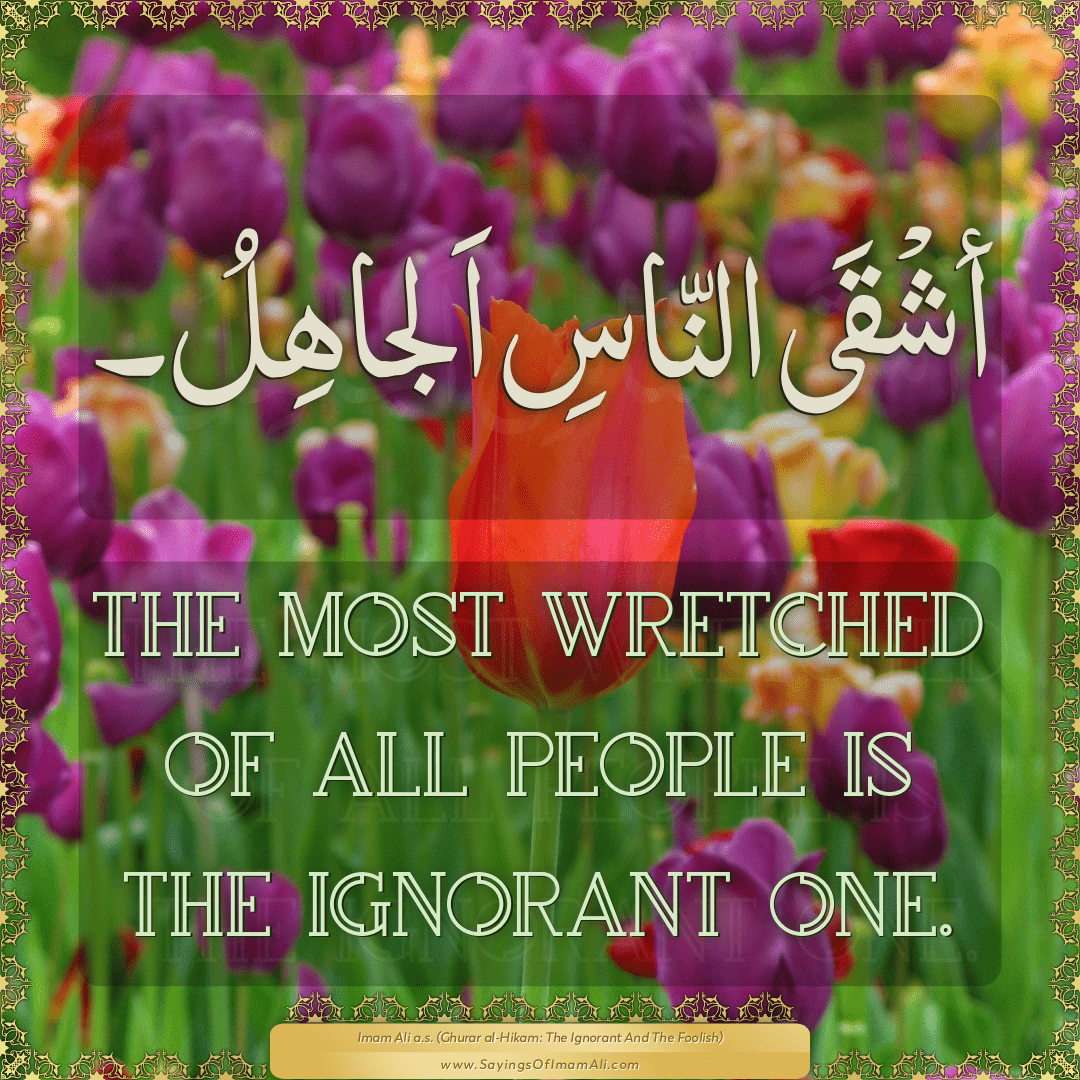 The most wretched of all people is the ignorant one.